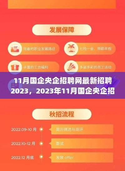 2023年11月国企央企招聘网全面解析与用户指南，最新招聘信息汇总