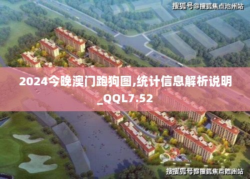 2024今晚澳门跑狗图,统计信息解析说明_QQL7.52