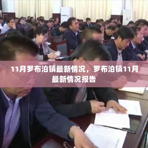 罗布泊镇11月最新情况报告