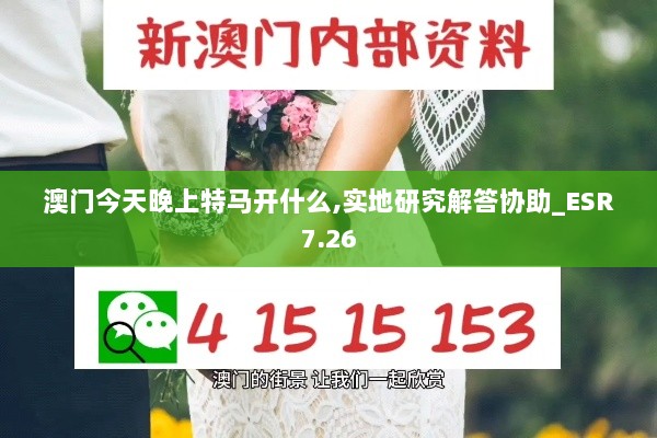 澳门今天晚上特马开什么,实地研究解答协助_ESR7.26