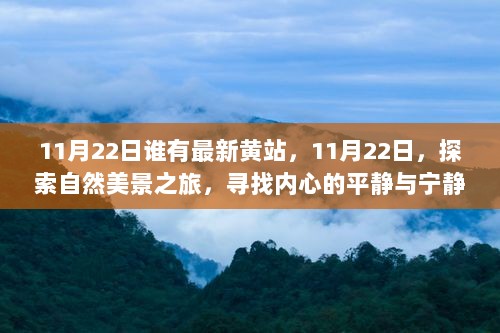 11月22日自然之旅，寻找内心的平静与宁静，探索自然美景的魅力