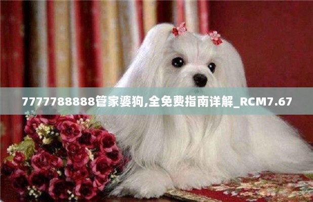 7777788888管家婆狗,全免费指南详解_RCM7.67