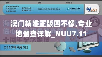 澳门精准正版四不像,专业地调查详解_NUU7.11