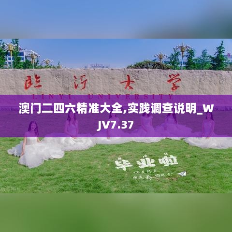 澳门二四六精准大全,实践调查说明_WJV7.37