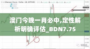 澳门今晚一肖必中,定性解析明确评估_BDN7.75