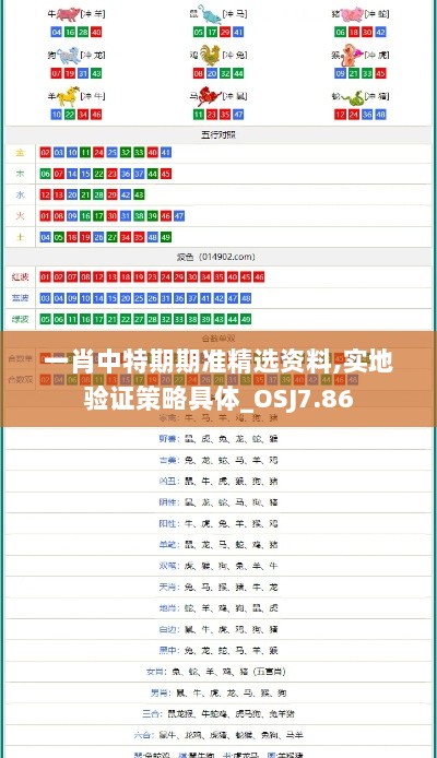 一肖中特期期准精选资料,实地验证策略具体_OSJ7.86