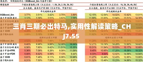 三肖三期必出特马,实用性解读策略_CHJ7.55