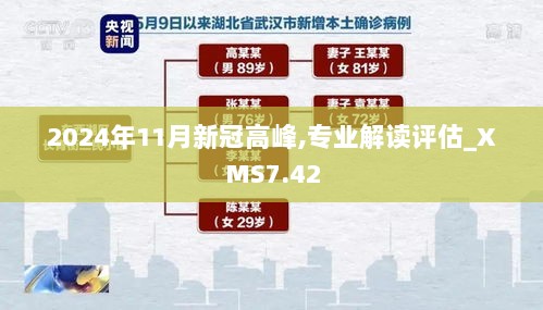 2024年11月新冠高峰,专业解读评估_XMS7.42