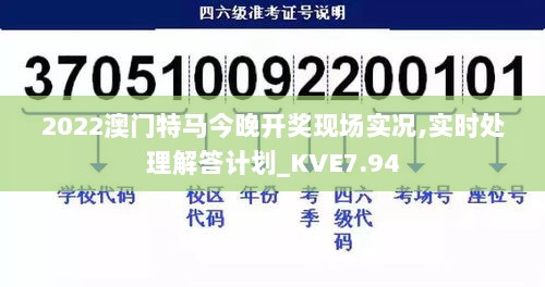 2022澳门特马今晚开奖现场实况,实时处理解答计划_KVE7.94