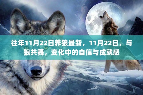 11月22日，与狼共舞的自信与成就感的变迁