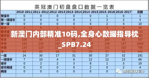 新澳门内部精准10码,全身心数据指导枕_SPB7.24