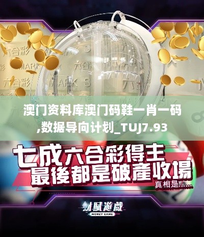 澳门资料库澳门码鞋一肖一码,数据导向计划_TUJ7.93