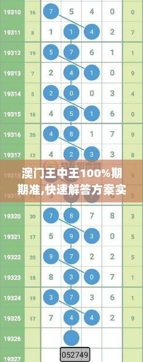 澳门王中王100%期期准,快速解答方案实践_TGU7.42