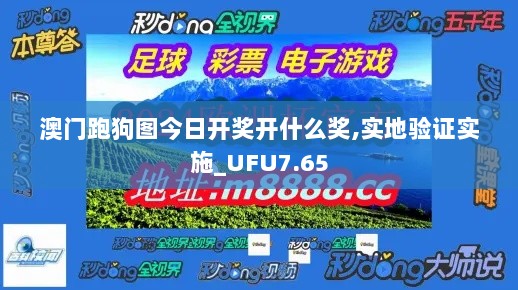 澳门跑狗图今日开奖开什么奖,实地验证实施_UFU7.65