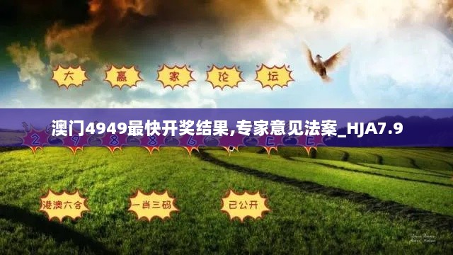 澳门4949最快开奖结果,专家意见法案_HJA7.9