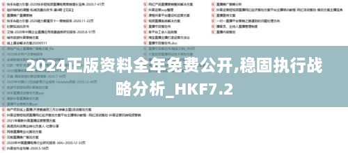 2024正版资料全年免费公开,稳固执行战略分析_HKF7.2