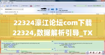 22324濠江论坛com下载22324,数据解析引导_TXV7.96