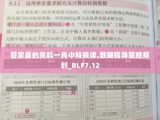 管家婆的资料一肖中特规律,数据指导策略规划_BLF7.12