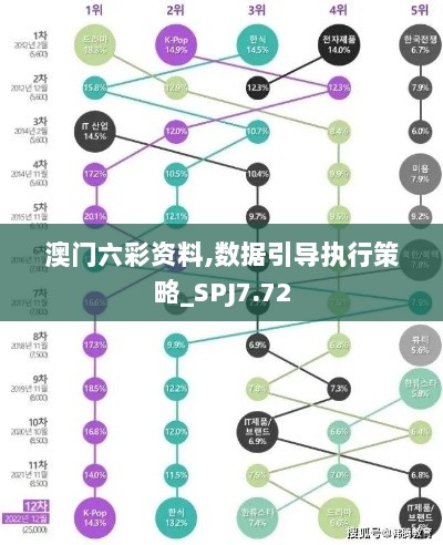 澳门六彩资料,数据引导执行策略_SPJ7.72