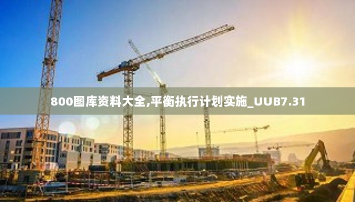 800图库资料大全,平衡执行计划实施_UUB7.31