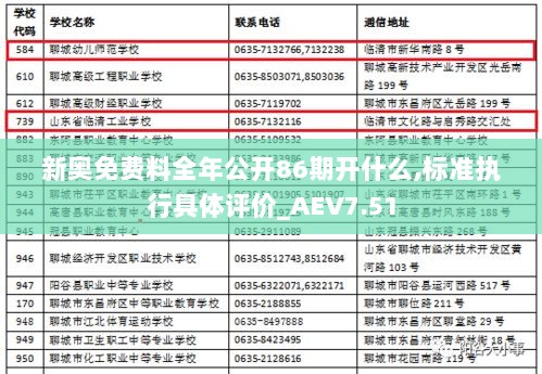 新奥免费料全年公开86期开什么,标准执行具体评价_AEV7.51