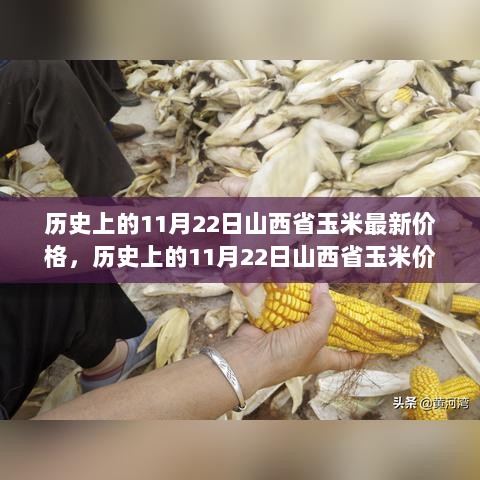 历史上的11月22日山西省玉米价格追踪与市场分析步骤指南