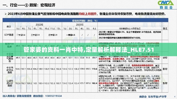 管家婆的资料一肖中特,定量解析解释法_HLE7.51