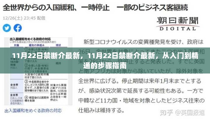 11月22日禁断介最新，从入门到精通的步骤指南