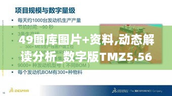 49图库图片+资料,动态解读分析_数字版TMZ5.56