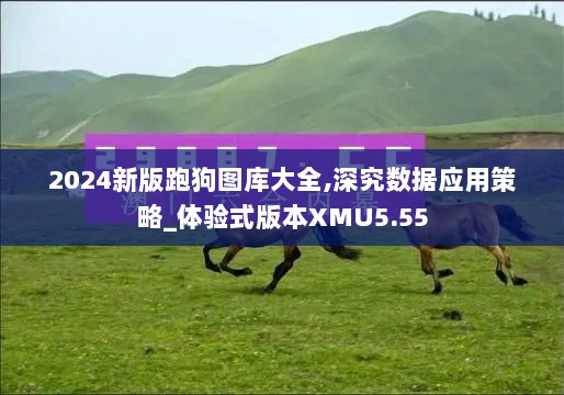 2024新版跑狗图库大全,深究数据应用策略_体验式版本XMU5.55