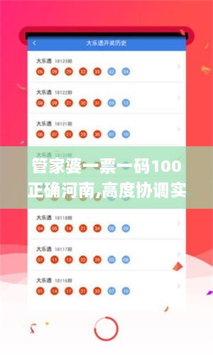 管家婆一票一码100正确河南,高度协调实施_家庭版GXI5.99