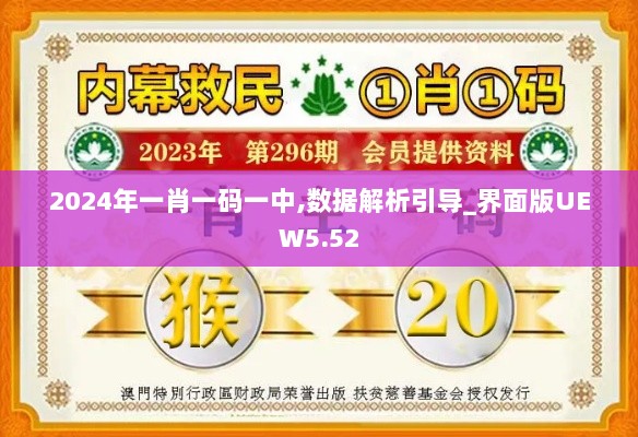 2024年一肖一码一中,数据解析引导_界面版UEW5.52