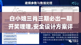 白小姐三肖三期必出一期开奖哩哩,安全设计方案评估_赛博版PRC5.62