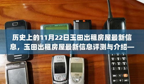 11月22日视角下的玉田出租房屋市场分析，最新信息、评测与介绍