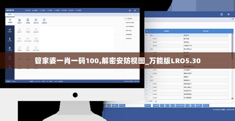 管家婆一肖一码100,解密安防视图_万能版LRO5.30