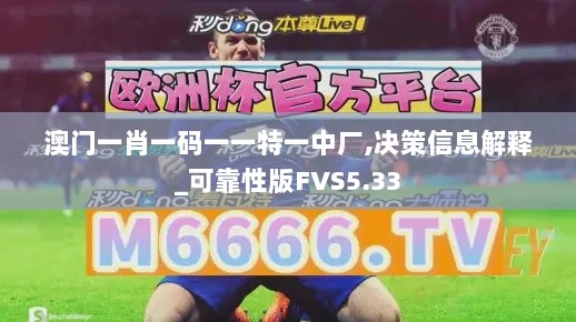 澳门一肖一码一一特一中厂,决策信息解释_可靠性版FVS5.33