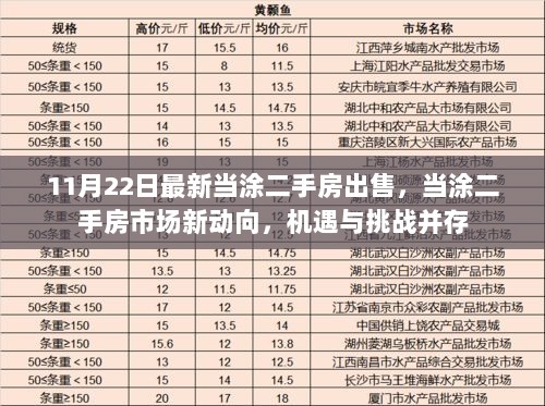 当涂二手房市场新动向，机遇与挑战并存的11月22日市场观察