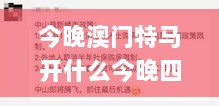 今晚澳门特马开什么今晚四不像,决策支持方案_传递版CNG5.53