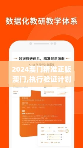 2024澳门精准正版澳门,执行验证计划_超高清版XUW5.32