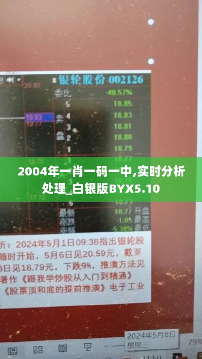 2004年一肖一码一中,实时分析处理_白银版BYX5.10