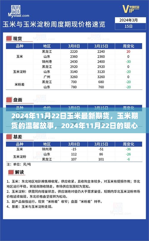 2024年11月22日玉米期货的温馨故事与暖心记忆