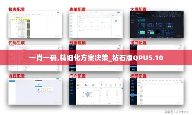 一肖一码,精细化方案决策_钻石版QPU5.10