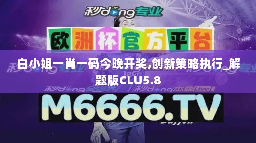 白小姐一肖一码今晚开奖,创新策略执行_解题版CLU5.8