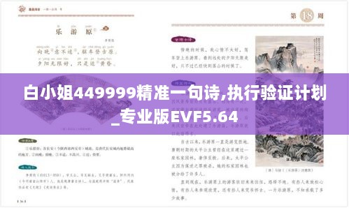 白小姐449999精准一句诗,执行验证计划_专业版EVF5.64