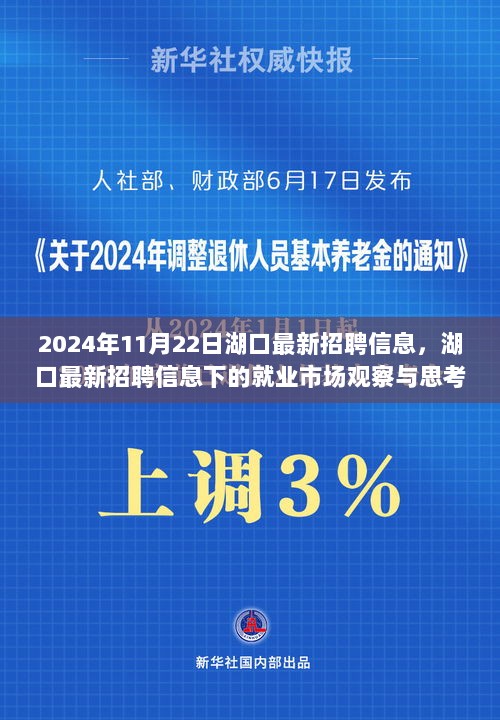 湖口最新招聘信息下的就业市场观察与思考（2024年11月22日）