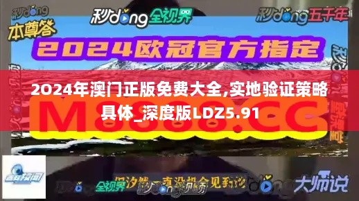 2O24年澳门正版免费大全,实地验证策略具体_深度版LDZ5.91