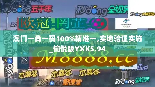 澳门一肖一码100%精准一,实地验证实施_愉悦版YXK5.94