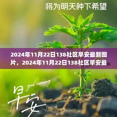 2024年11月22日 138社区早安图片精选与产品评测介绍