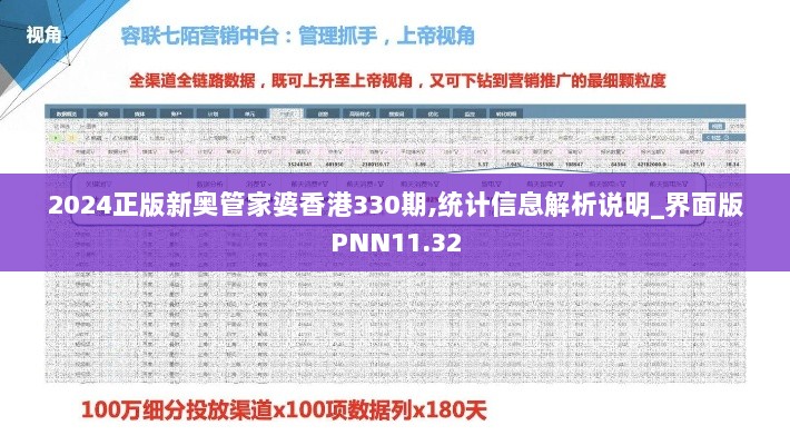 2024正版新奥管家婆香港330期,统计信息解析说明_界面版PNN11.32