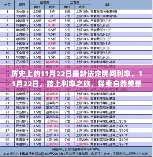 11月22日，利率之旅与内心的平静探索